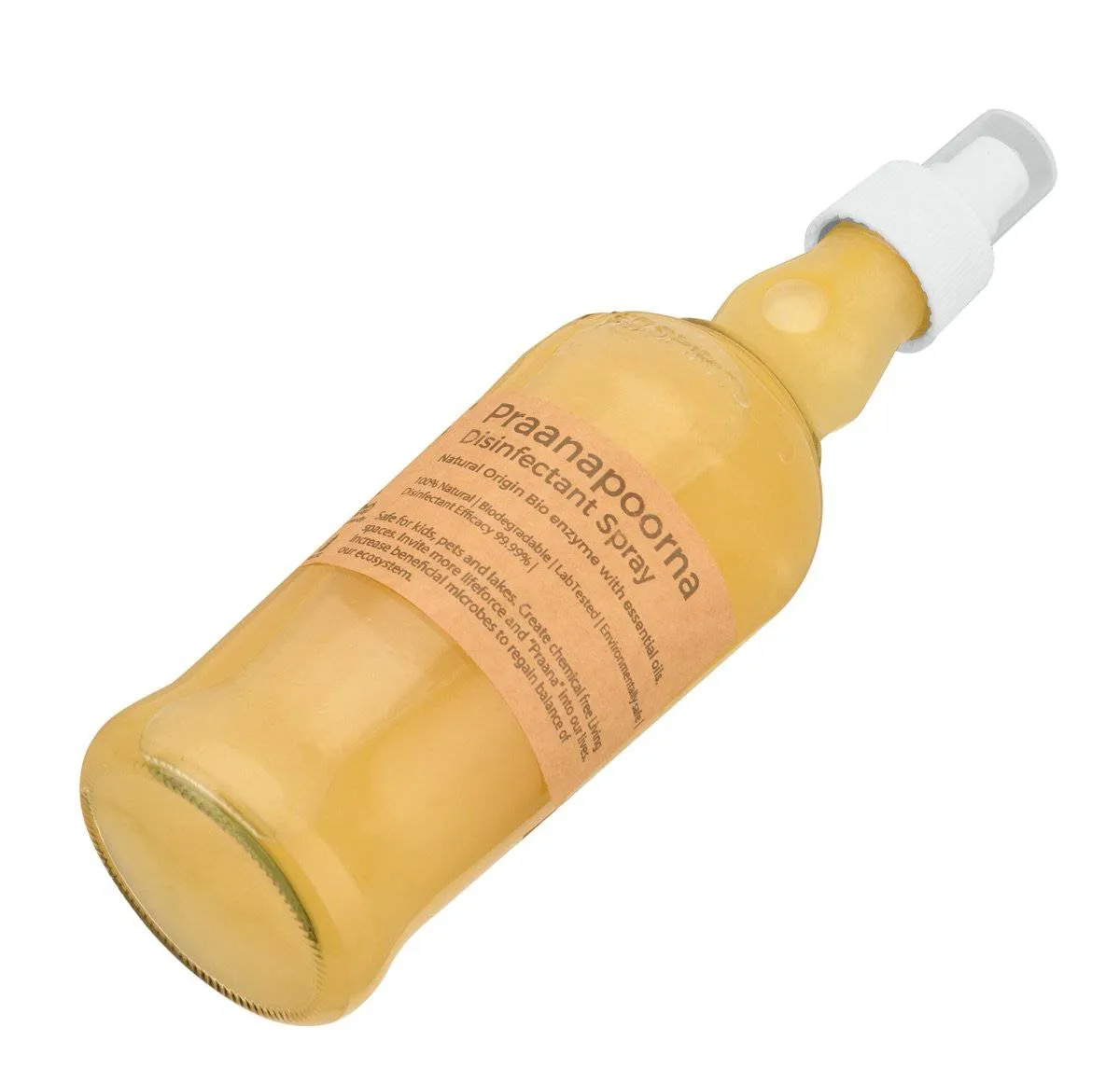 Disinfectant Spray 350ml